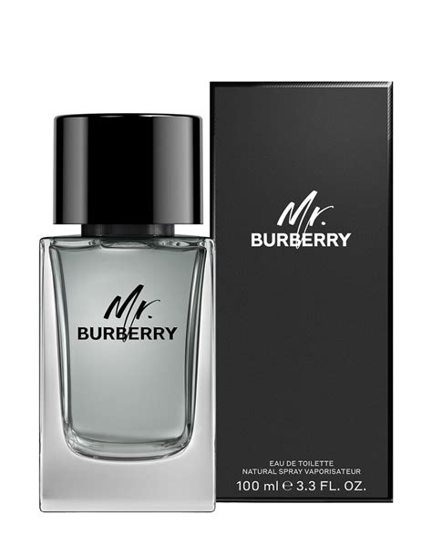 mr burberry 100 ml eau de toilette